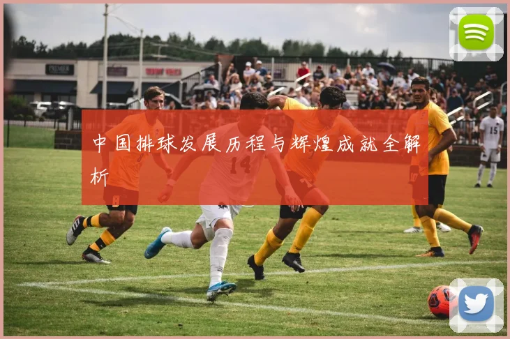 中国排球发展历程与辉煌成就全解析